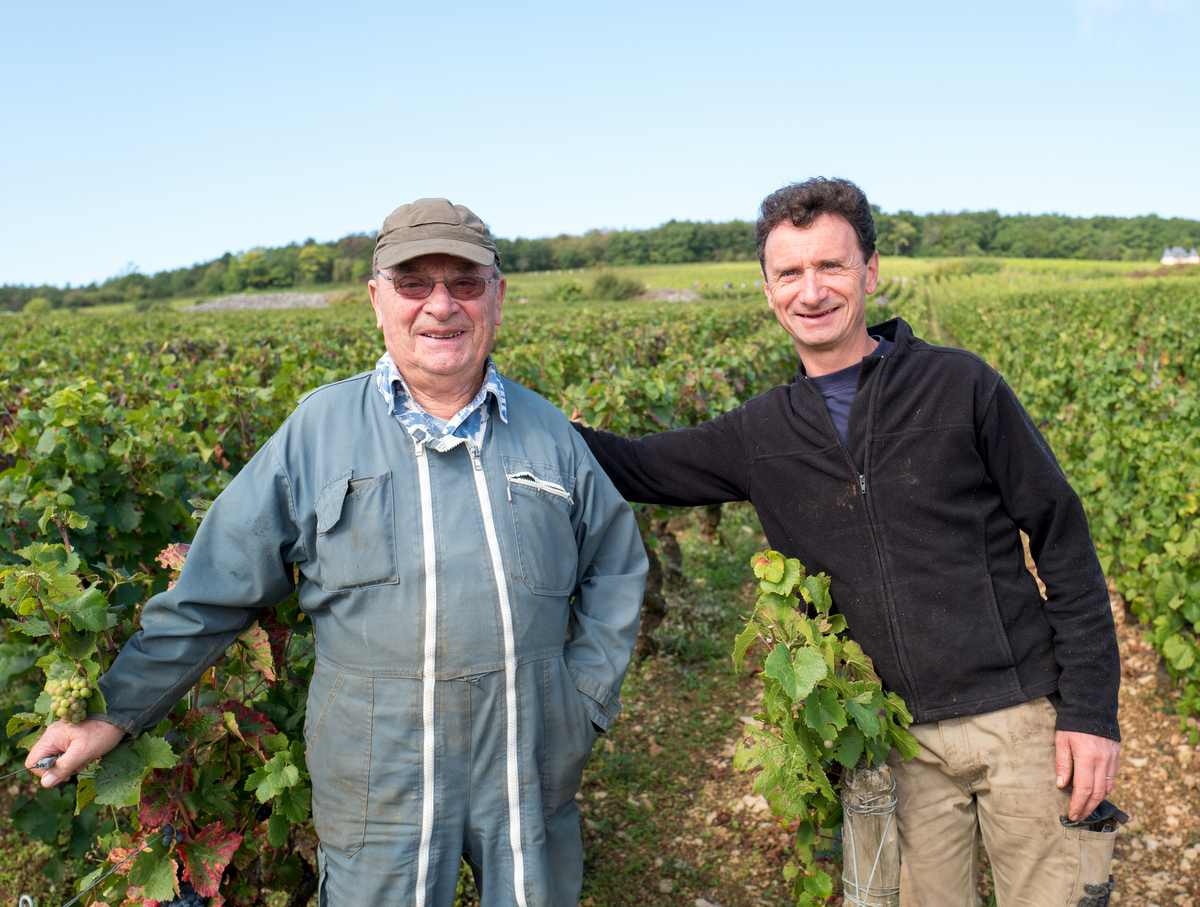 Domaine Hubert Lignier Clos de la Roche MCMLV - Burgundy, Côte de Nuits ...